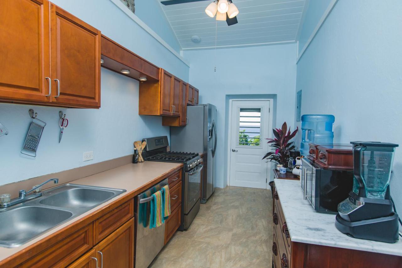 Feather Leaf Inn Frederiksted Εξωτερικό φωτογραφία