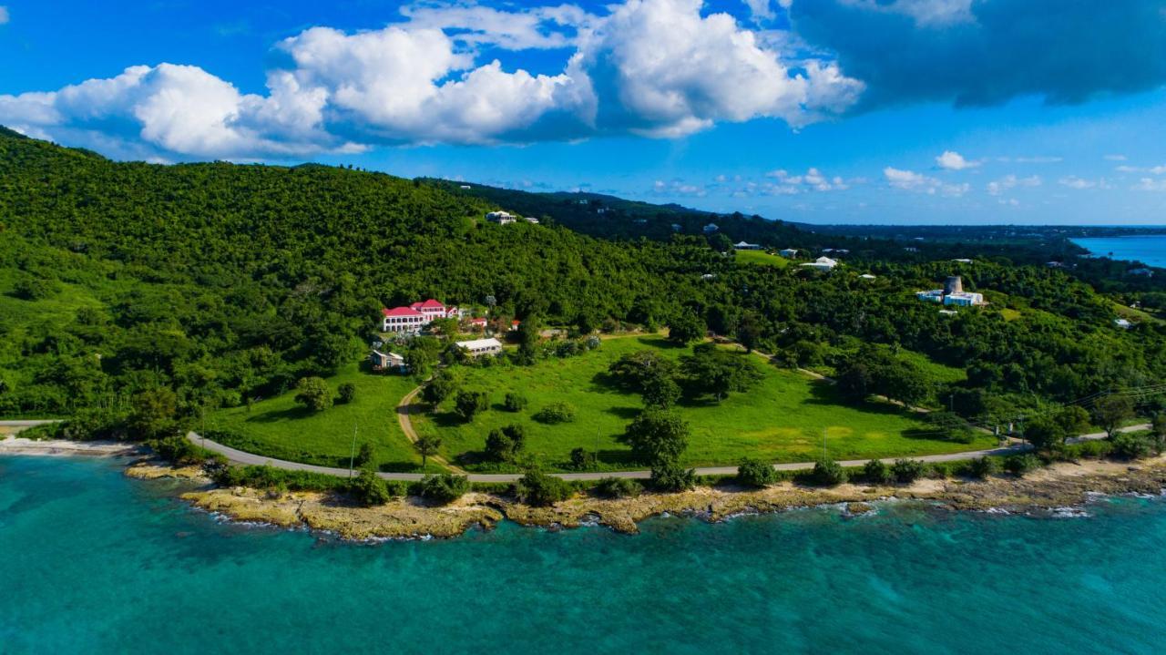 Feather Leaf Inn Frederiksted Εξωτερικό φωτογραφία