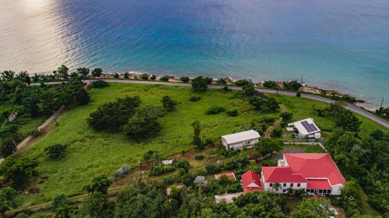 Feather Leaf Inn Frederiksted Εξωτερικό φωτογραφία