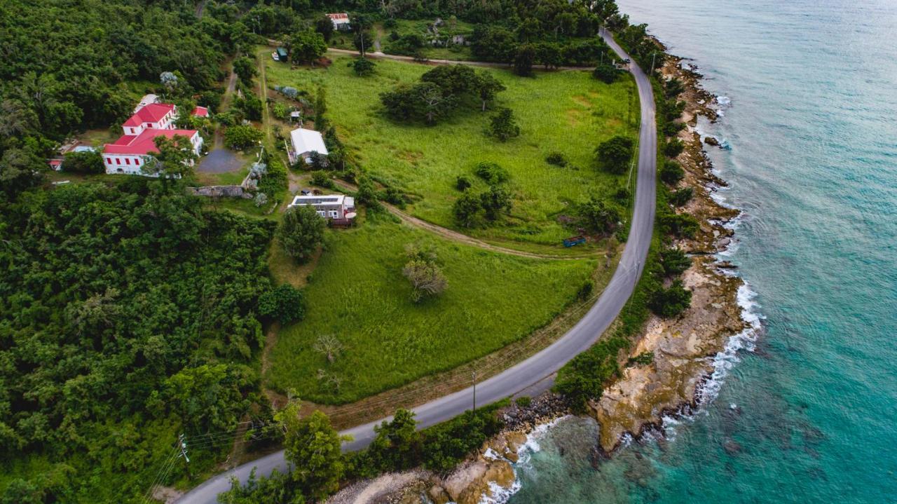 Feather Leaf Inn Frederiksted Εξωτερικό φωτογραφία